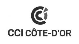 cci cote d'or